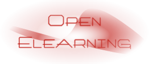 Open-Elearning Castres, Consultant