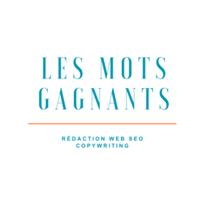 Les Mots Gagnants  Saint-Martin-de-Seignanx, Rédacteur, Consultant