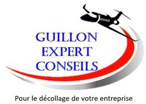 GUILLON EXPERT CONSEILS Bérou-la-Mulotière, Prestataire de services administratifs divers, Conseiller de gestion