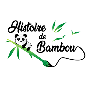 Histoire de Bambou Saint-Étienne, Rédacteur, Conseiller en marketing