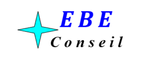 EBE Conseil Saint-Jean, Consultant, Développeur