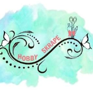 Hobby skrape Colombelles, Boutique en ligne