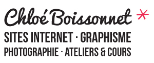 Chloé Boissonnet Fronton, Graphiste, Webmaster