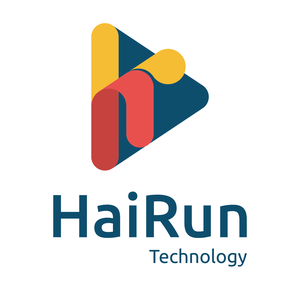 HaiRun Technology Paris 1, Autre prestataire informatique, Chef de projet