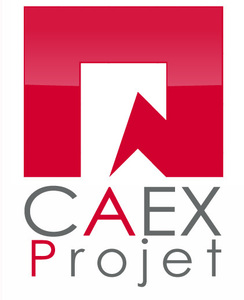 CAEX PROJET Six-Fours-les-Plages, Chef de projet, Autre prestataire marketing et commerce