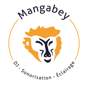 Mangabey Rennes, Autre prestataire arts graphiques et création artistique, Professeur de musique