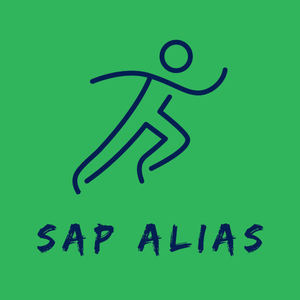 SAP ALIAS Paris 19, Assistant social