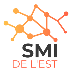 SMI DE L'EST Merkwiller-Pechelbronn, Assistant informatique et internet à domicile, Administrateur systèmes et réseaux