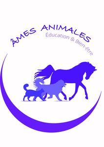 Ames Animales Education & Bien-Etre Pussay, Éducateur, Autre prestataire de services
