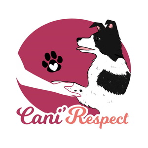 Cani’Respect Orchies, Prestataire en soins et promenade d’animaux de compagnie