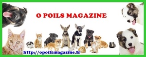 O Poils Magazine  Rahon, Journaliste indépendant, Pigiste, Rédacteur