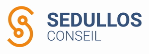 SEDULLOS Conseil Panazol, Consultant, Autre prestataire informatique