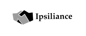 Ipsiliance Saint-Chéron, Conseiller en organisation, Directeur projet