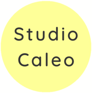 Studio Caleo Ussac, Designer web, Conseiller en communication, Consultant, Webmaster