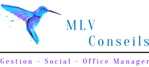 MLV CONSEILS Gaillon-sur-Montcient, Conseiller de gestion, Conseiller social