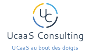 UCaas Consulting Antony, Autre prestataire de services aux entreprises, Consultant