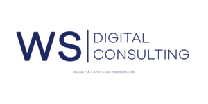 WS Digital Consulting Toulouse, Développeur, Directeur des systèmes d’information
