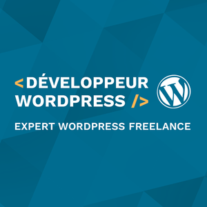 Développeur Wordpress Expert Orange, Développeur, Designer web