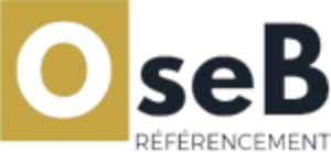 Consultant SEO - OseB Référencement Nantes, Conseiller en marketing, Webmaster