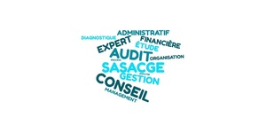 ACGE Audit Conseil et Gestion Expert  Beauvoisin, Consultant, Conseiller en organisation
