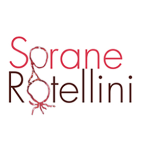 Sorane Rotellini Sarrancolin, Art therapeute
