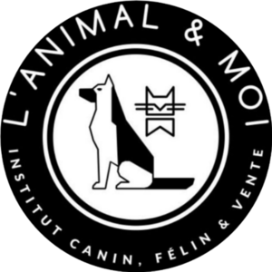 L' Animal et Moi Amélie-les-Bains-Palalda, Toiletteur d'animaux de compagnie, Prestataire en soins et promenade d’animaux de compagnie