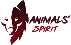 Animals' Spirit Peltre, Autre prestataire de services