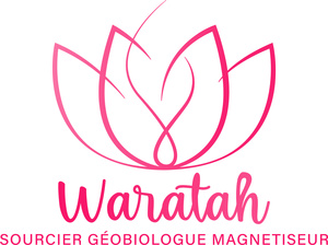 Waratah Gommegnies, Géobiologiste, Magnétisme