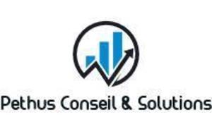Pethus Conseil & Solutions Paris 8, Consultant, Autre prestataire informatique