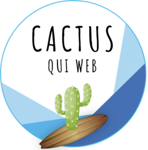 Cactus Qui Web Tourcoing, Développeur
