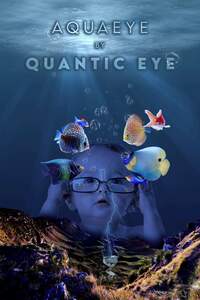 Quantic Eye Dagneux, Dessinateur