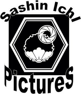 Sashin Ichi Pictures Lardy, Photographe