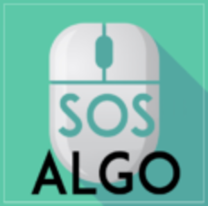 SOS ALGO Saint-Maurice, Développeur