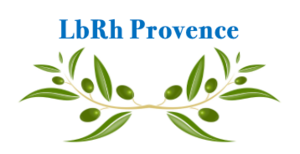 LbRh Provence Saint-Maximin-la-Sainte-Baume, Formateur