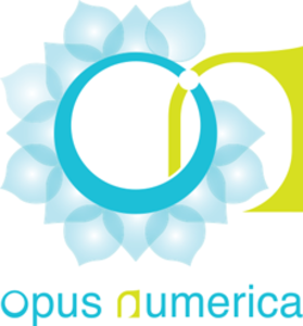Opus Numerica  Avignon, Autre prestataire marketing et commerce, Formateur