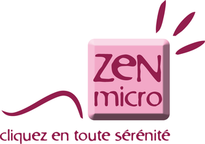 ZEN MICRO Saulxures-lès-Nancy, Assistant informatique et internet à domicile, Formateur
