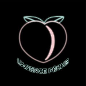 L'Agence Peche Saint-Lieux-lès-Lavaur, Designer web, Webmaster