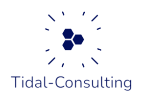 Tidal-Consulting Diémoz, Webmaster, Développeur