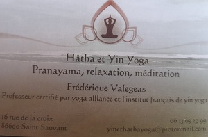 Yinethathayoga  Saint-Sauvant, Professeur de yoga