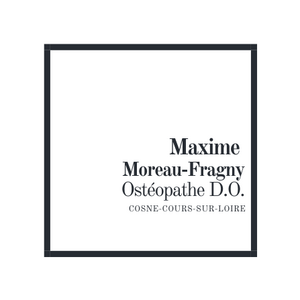 Maxime Moreau-Fragny Ostéopathe Cosne-Cours-sur-Loire, Professionnel indépendant