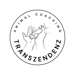 Transzendenz Coaching Treilles, Naturopathe, Prestataire en soins et promenade d’animaux de compagnie