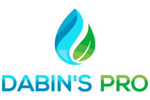 Dabin's Pro Paris 8, Autre prestataire de services aux entreprises