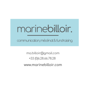 Marine Billoir conseil Lille, Consultant