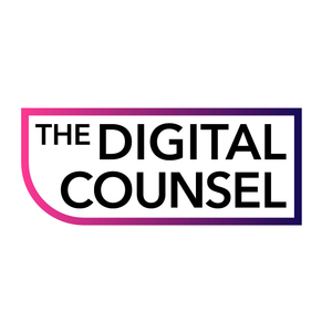 The Digital Counsel Lyon, Autre prestataire marketing et commerce, Conseiller d'entreprise