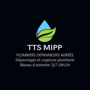 TTS MIPP Bosmie-l'Aiguille, Professionnel indépendant