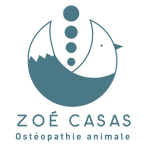 Ostéopathe pour animaux Zoé Casas Saffré, Ostéopathe