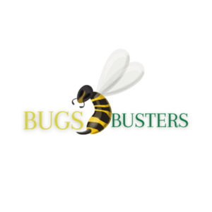 Bugsbusters Lingolsheim, Entreprise de désinfection, désinsectisation et dératisation