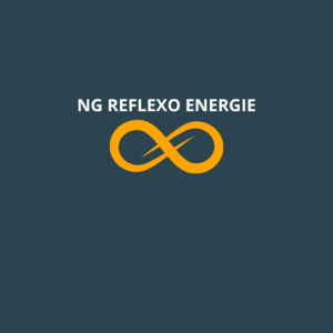 Nelly Guillemot - NG Réflexo Energie Saint-Just-Saint-Rambert, Réflexologue, Autre prestataire de services