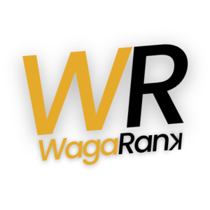 WagaRank agence création site web optimisé SEO Poitiers, Webmaster, Conseiller d'entreprise