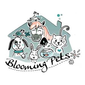 Blooming Pets Wallers, Prestataire en soins et promenade d’animaux de compagnie